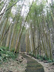 Paesaggio naturale nelle vicinanze della stanza in casa privata