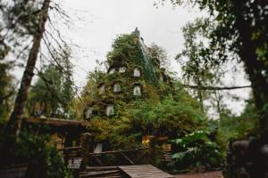 Huilo Huilo Montaña Mágica外面的花园