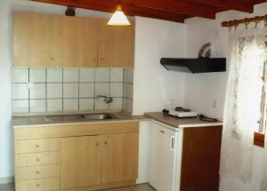 Kuchyň nebo kuchyňský kout v ubytování Villa Karapataki