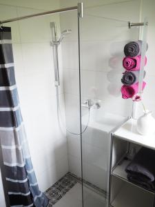 a bathroom with a shower and a sink at "Glücksmoment" in Bad Kreuznach