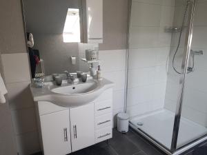 uma casa de banho com um lavatório e um chuveiro em Hotel Ari em Kaiserslautern