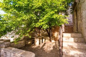 a tree in front of a brick wall with stairs at Old Small Stone House in Korčula