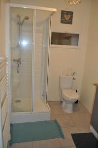 a bathroom with a shower and a toilet at Le studio d'Ahynoa in Lauzun +31 photos