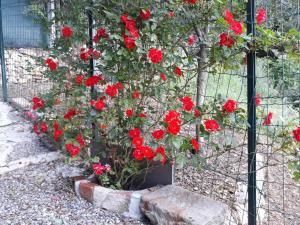 A garden outside La Villa