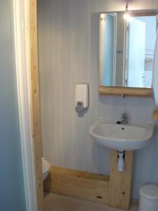 a bathroom with a sink and a mirror and a toilet at Hôtel des Cimes in Luz-Saint-Sauveur