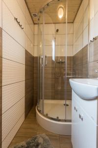a bathroom with a shower and a sink at Siedlisko Wataha in Wołkowyja