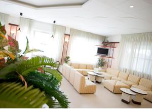 ein Wohnzimmer mit Sofas, Tischen und einem TV in der Unterkunft Residence Hotel Amalfi in Lido di Savio