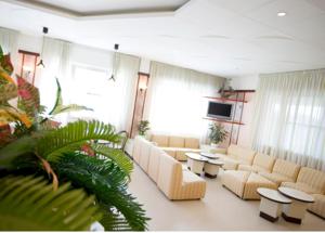 a living room with couches and tables and a tv at Residence Hotel Amalfi in Lido di Savio