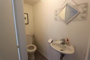a bathroom with a toilet and a sink and a mirror at Entre douceur et délicatesse in Colmar +20 photos