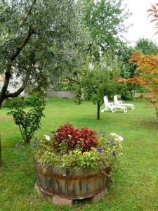 A garden outside B&B Marie Therese