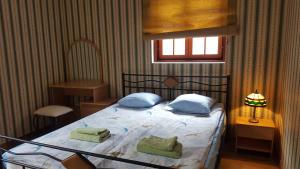 sypialnia z łóżkiem z 2 poduszkami i lampką w obiekcie Deluxe Apartments in the city center with Balcony w Parnawie
