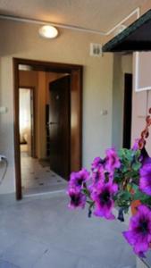 Φωτογραφία από το άλμπουμ του 62A Doctor Luben Lazarov Street στη Βάρνα