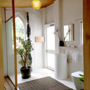 uma casa de banho com WC e um vaso de árvore em be&be castlemaine em Castlemaine