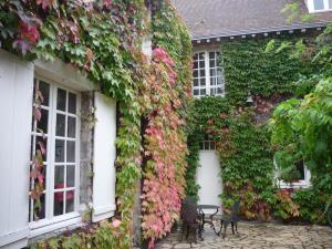 A garden outside La Vigne Vierge