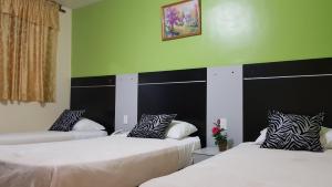 two beds in a room with green walls at Hotel 2 Mares in Panama City