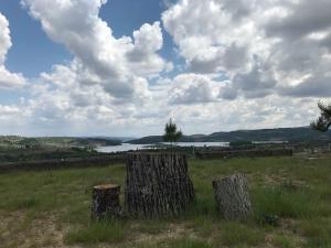 a group of tree stumps in a field with a lake at Monte do Azibo Glamping in Podence
