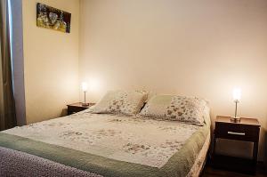 - une chambre avec un lit et 2 lampes sur 2 tables dans l'établissement Departamentos Alto Moneda, à Santiago