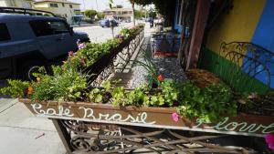 a planter of flowers on the side of a building at Villa Brasil Motel in Los Angeles