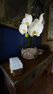 a table with a vase with white flowers on it at Villa Brasil Motel in Los Angeles