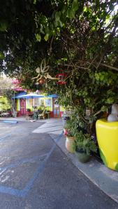 a group of plants in pots next to a building at Villa Brasil Motel in Los Angeles