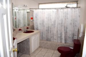 a bathroom with a shower with a sink and a toilet at Laguna Sky in Guatemala