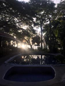 حديقة خارج Howler Monkey Hotel