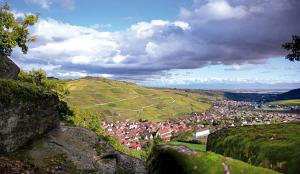 Blick auf eine kleine Stadt in einem Tal in der Unterkunft Petite Cahute in Soultzmatt