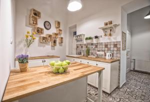 Kuchyň nebo kuchyňský kout v ubytování Budapest Passage 2