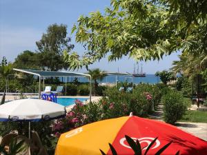 Bazén v ubytování Hotel Grün nebo v jeho okolí