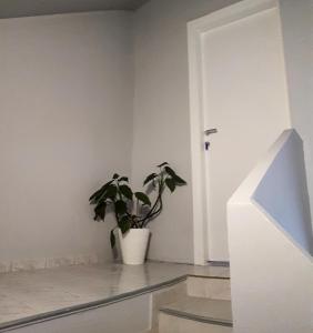 Fotografia z galérie ubytovania Apartman Lena v destinácii Tušilović