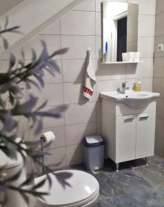 Kúpeľňa v ubytovaní Apartman Lena + 34 fotografií