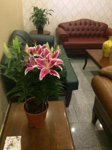 uma sala de estar com um vaso de plantas numa mesa de centro em Ünver Hotel em Adana