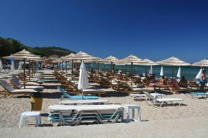 a bunch of chairs and umbrellas on a beach at Pan Mare in Skala Sotiros