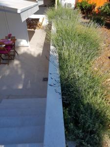 Gallery image of Apartments Antonia in Hvar