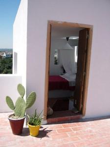 オルナチュエロスにあるCasa las Mariasのベッドとサボテン付きのベッドルームへの出入り口