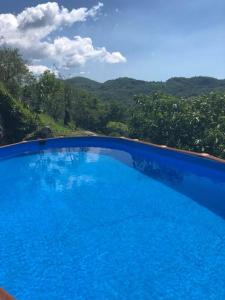 The swimming pool at or close to B&B Puccini