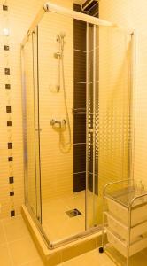 a shower with a glass enclosure in a bathroom at Sáppusztai Vendégház in Damak +19 photos