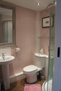 een badkamer met een toilet, een wastafel en een douche bij Dale house barn and B&B in Slaidburn