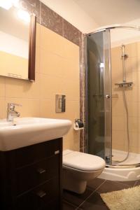 W łazience znajduje się toaleta, umywalka i prysznic. w obiekcie Apartament AMS B7 w Rewalu