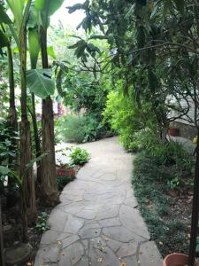 Jardín al aire libre en Olga Guest House