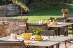 A garden outside Cas Cabo Nou Agroturismo Adults Only