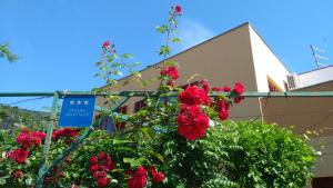 Photo de la galerie de l'établissement Apartment Dunja, à Cres