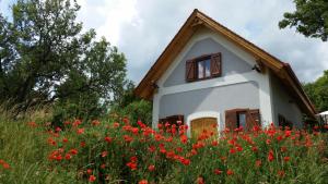Gallery image of villa vita in Balatonfüred