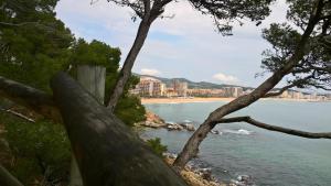 Fotografia z galérie ubytovania Casa Triadors v destinácii Sant Antoni de Calonge