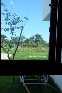 uma janela com vista para uma árvore num campo em Moonlit Seaview Homestay em Donghe