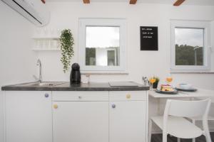 Kuchyňa alebo kuchynka v ubytovaní Studio Apartment Škatula