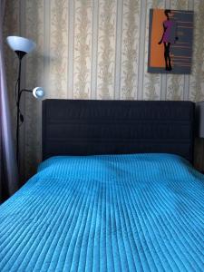 エカテリンブルクにあるPedagogicheskaya 4のベッドルーム1室(青いベッド1台、ランプ、絵画付)