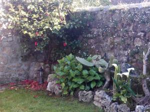 Um jardim em Posada Montero de la Concha