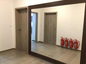 Fotografie z fotogalerie ubytování EURO APARTMENTS LIDICKÁ 39 BRNO v destinaci Brno