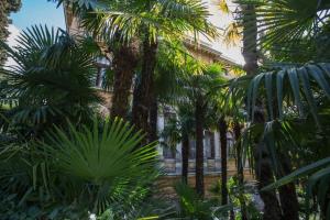 a group of palm trees in front of a building at Villa Penkala Apartment in Opatija
